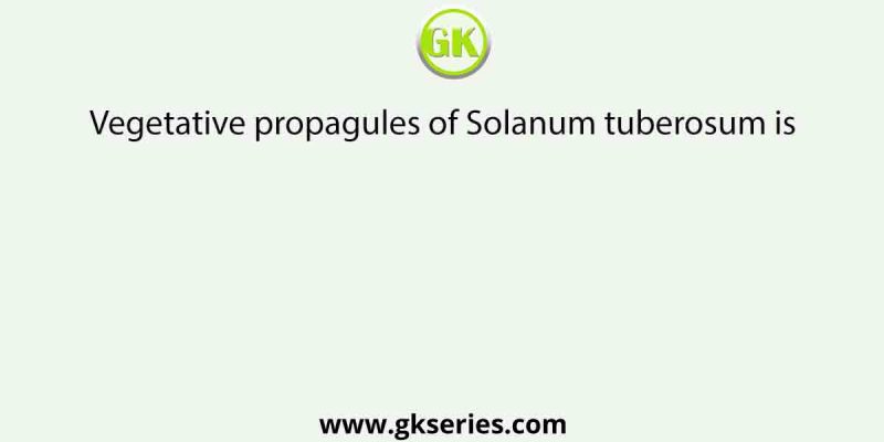Vegetative propagules of Solanum tuberosum is