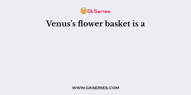 Venus’s flower basket is a
