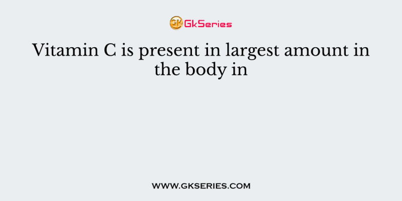 Vitamin C is present in largest amount in the body in