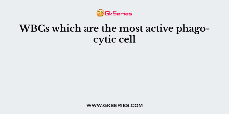 WBCs which are the most active phagocytic cell