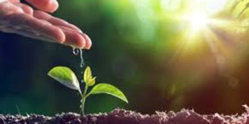 WHO joins the UN Decade on Ecosystem Restoration