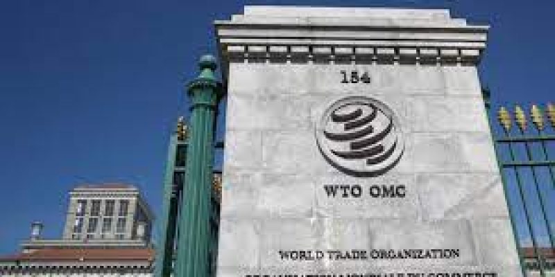 WTO rules India violated global trade rules in IT dispute