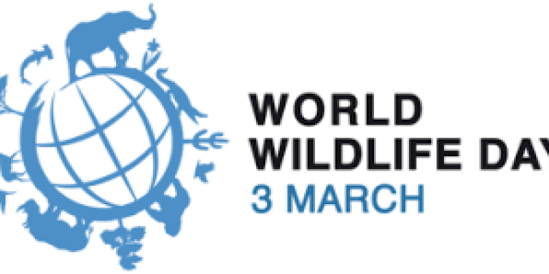 World Wildlife Day 2020