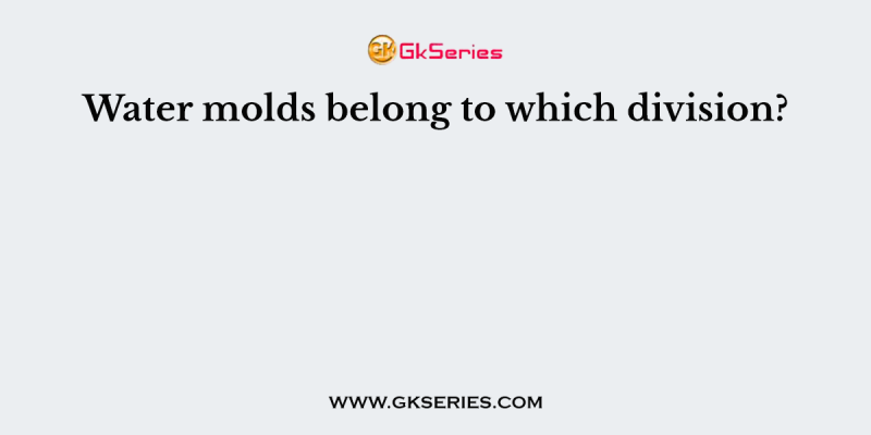 Water molds belong to which division?