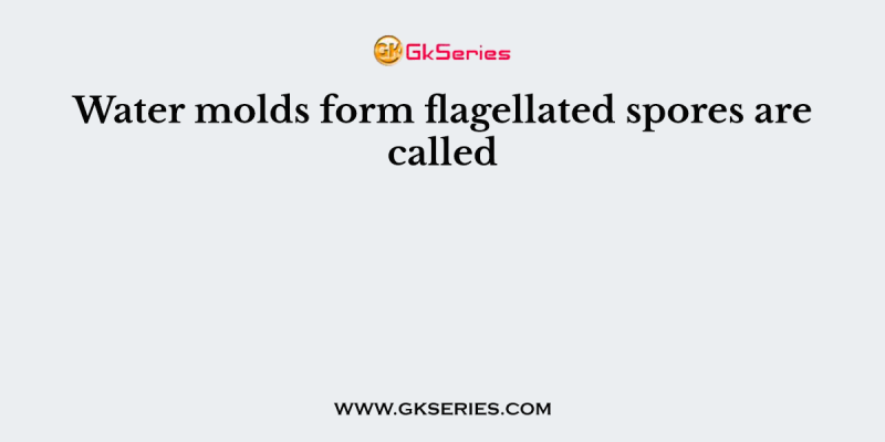 Water molds form flagellated spores are called