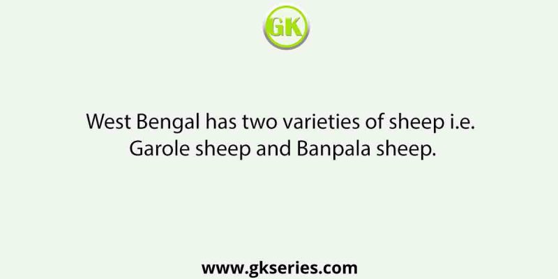 West Bengal has two varieties of sheep i.e. Garole sheep and Banpala sheep.