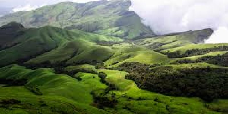 Western Ghats grasslands