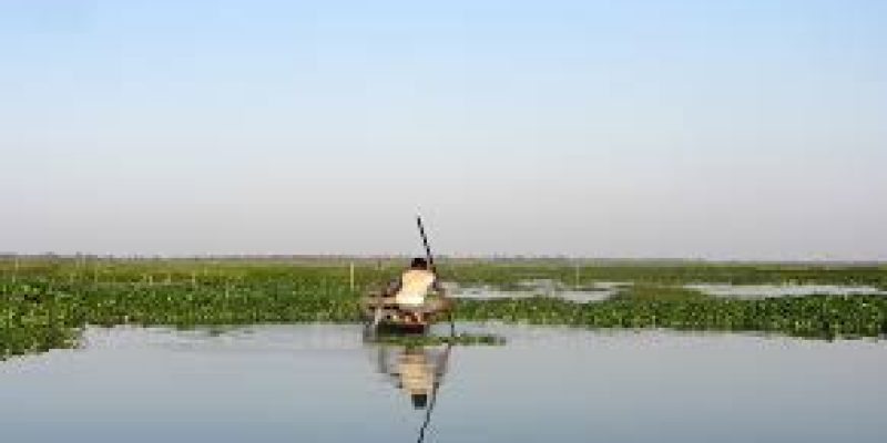 Wetlands of Assam