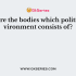 Political environments refers to the influence excreted by the ______political institutions
