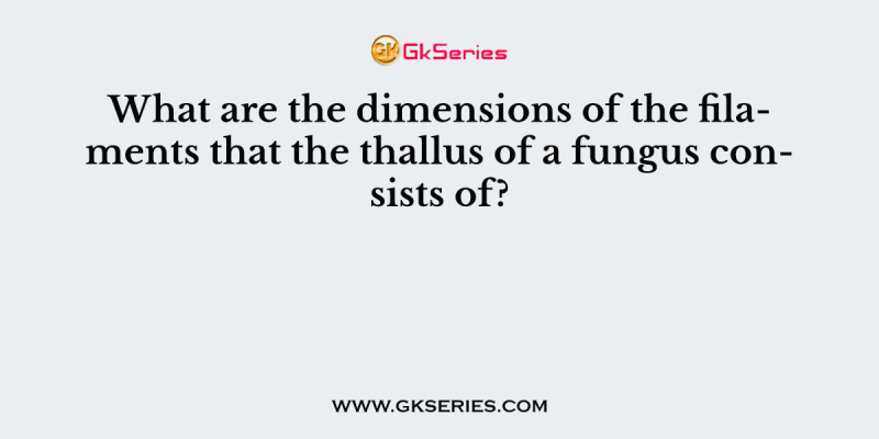 What are the dimensions of the filaments that the thallus of a fungus consists of?