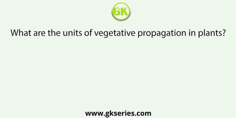 What are the units of vegetative propagation in plants?