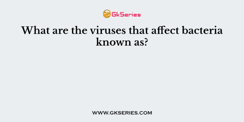 What are the viruses that affect bacteria known as?
