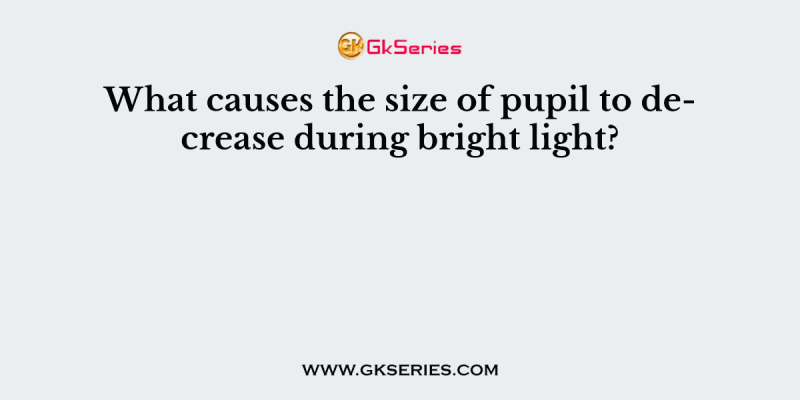 What causes the size of pupil to decrease during bright light?