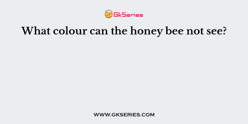 What colour can the honey bee not see?