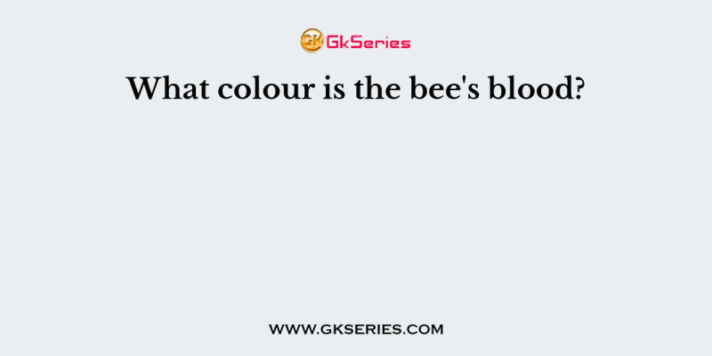 What colour is the bee’s blood?