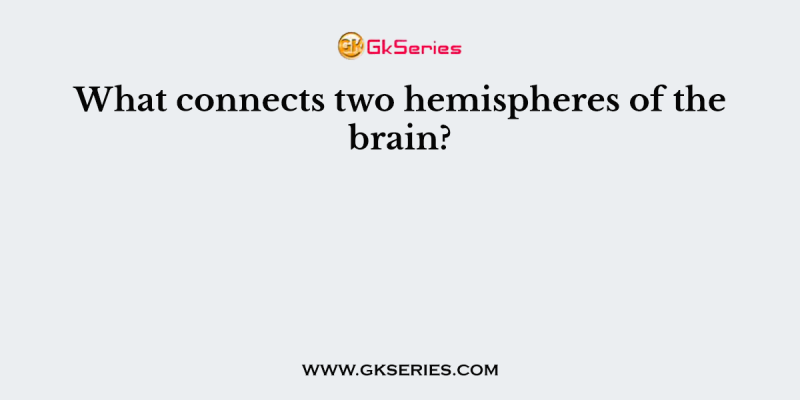 What connects two hemispheres of the brain?