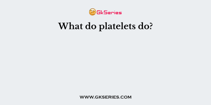 What do platelets do?