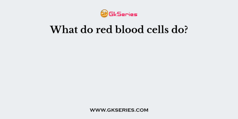 What do red blood cells do?