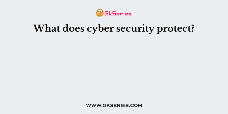 What does cyber security protect?