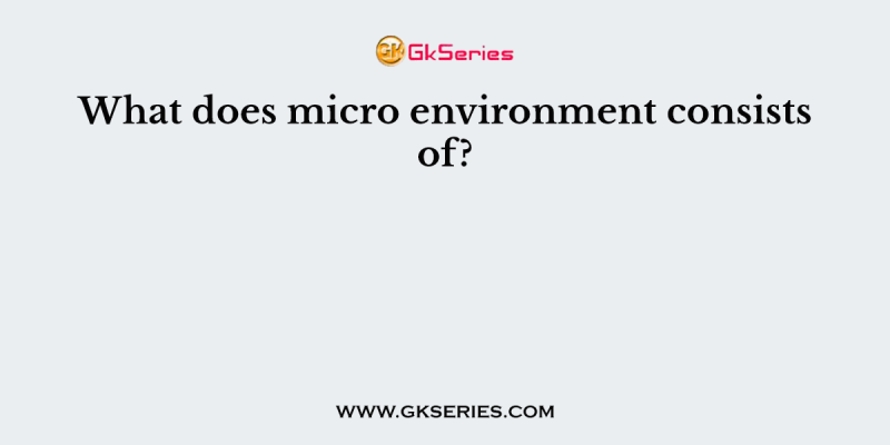 What does micro environment consists of?