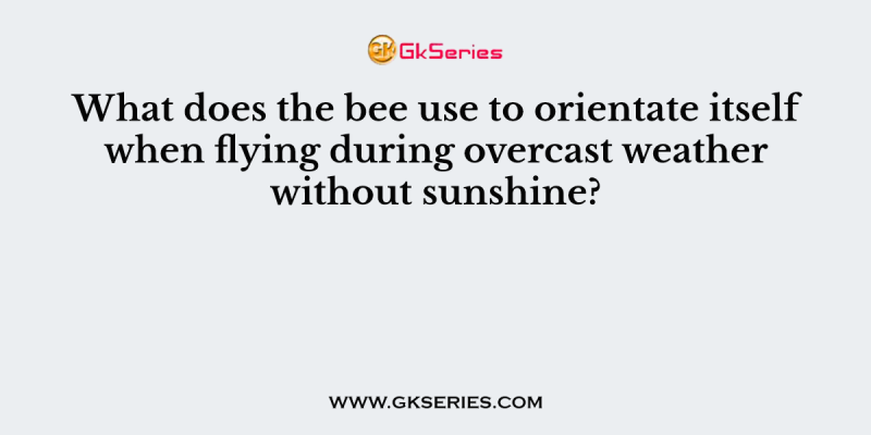 What does the bee use to orientate itself when flying during overcast weather without sunshine?