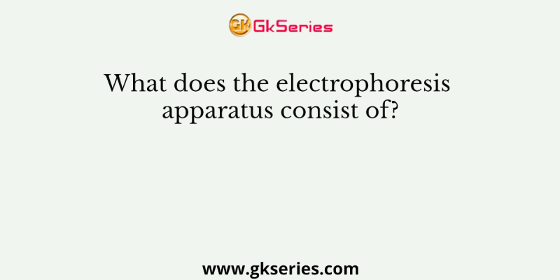What does the electrophoresis apparatus consist of?