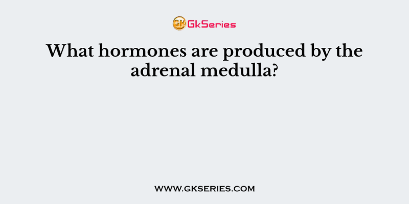 What hormones are produced by the adrenal medulla?