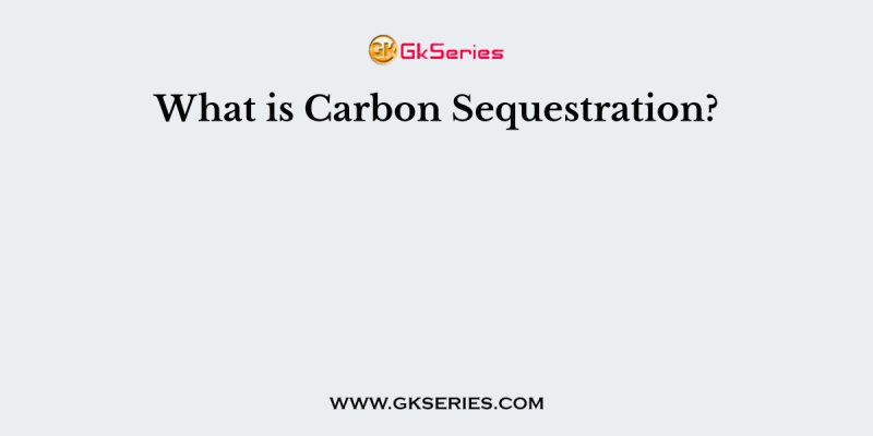 What is Carbon Sequestration?
