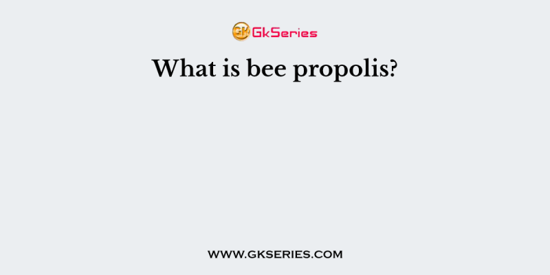 What is bee propolis?