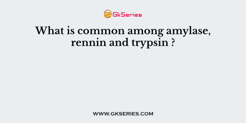 What is common among amylase, rennin and trypsin ?