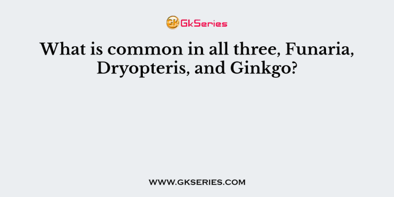 What is common in all three, Funaria, Dryopteris, and Ginkgo?