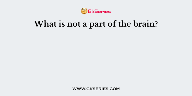 What is not a part of the brain?