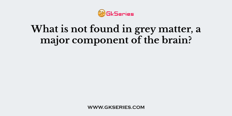 What is not found in grey matter, a major component of the brain?