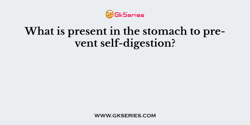 What is present in the stomach to prevent self-digestion?