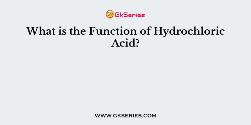 What is the Function of Hydrochloric Acid?