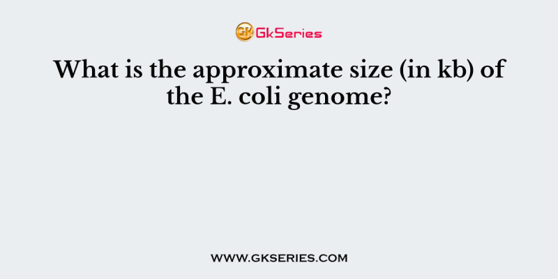 What is the approximate size (in kb) of the E. coli genome?