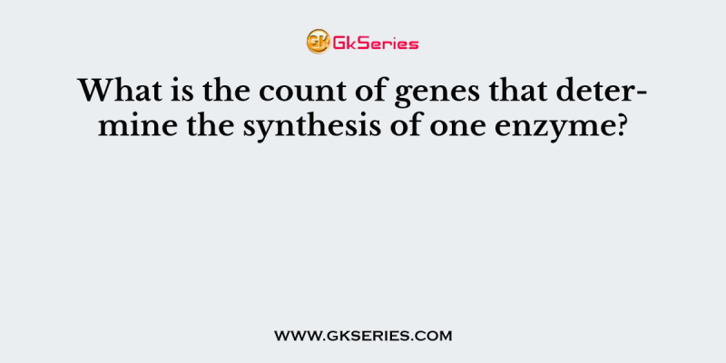 What is the count of genes that determine the synthesis of one enzyme?