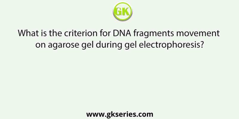 What is the criterion for DNA fragments movement on agarose gel during gel electrophoresis?