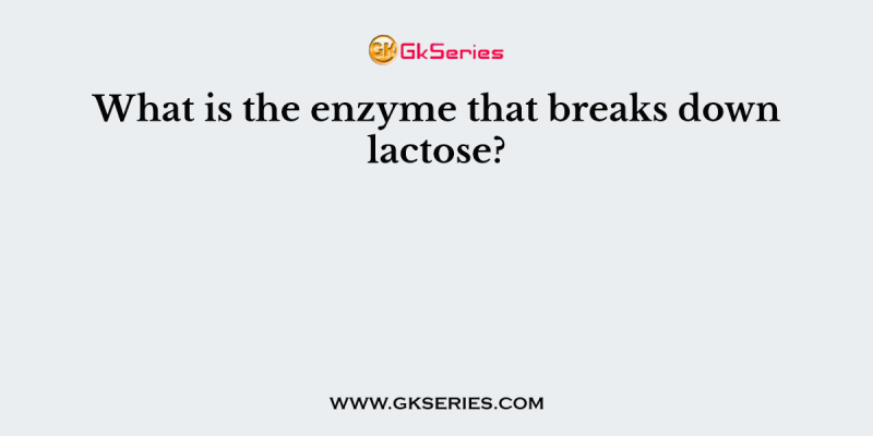 What is the enzyme that breaks down lactose?
