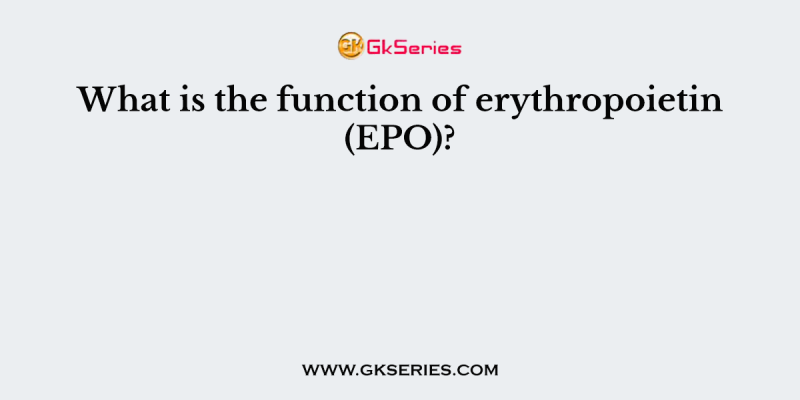 What is the function of erythropoietin (EPO)?