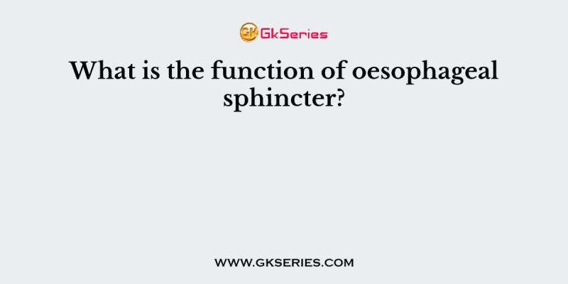 What is the function of oesophageal sphincter?