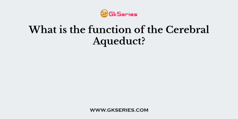 What is the function of the Cerebral Aqueduct?