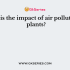 On what does the harmful effect of pollution depend on?