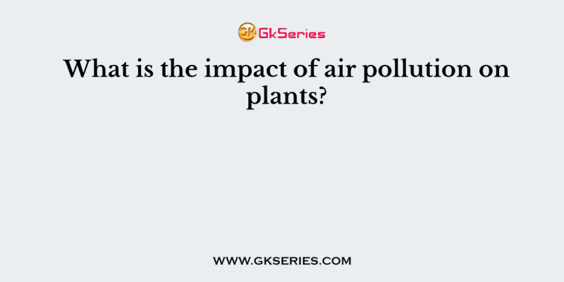 What is the impact of air pollution on plants?