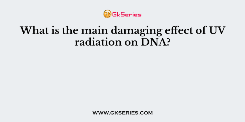 What is the main damaging effect of UV radiation on DNA?