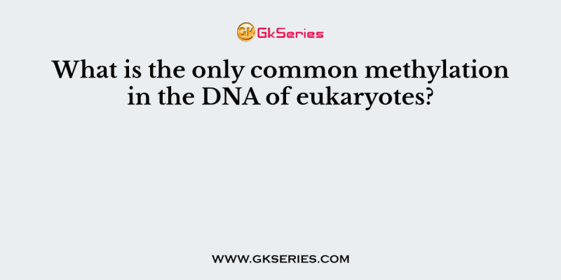 What is the only common methylation in the DNA of eukaryotes?