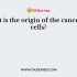 Name the process of transition from normal cells to cancerous cells?