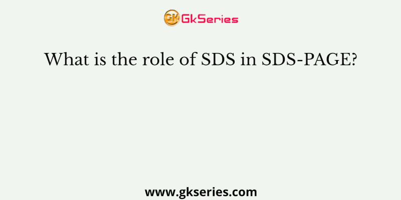 What is the role of SDS in SDS-PAGE?