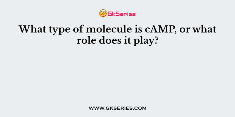 What type of molecule is cAMP, or what role does it play?