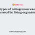 In which of the following are the largest amounts of nitrogen excreted from a mammalian body?